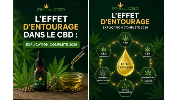 L’Effet d’Entourage dans le CBD : Explication Complète 2026